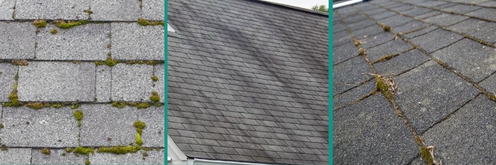 Check-for-dark-streaks-and-moss-on-the-roof