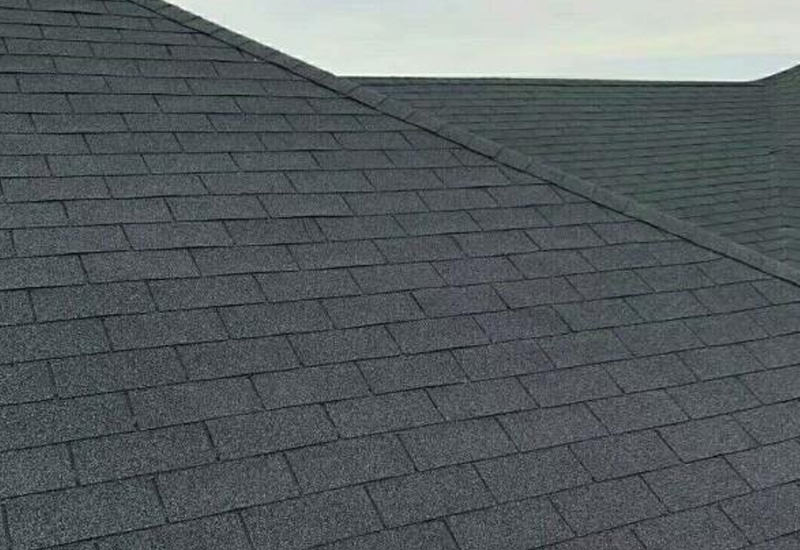 Layer ng Shingle